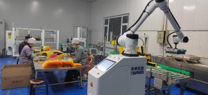 Advanced Automatic Bag into Catron Packaging Line Production Efficiency for Leading Snack Food Manufacturer