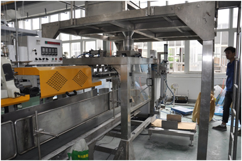 Big bag packaging machine 大袋包装机