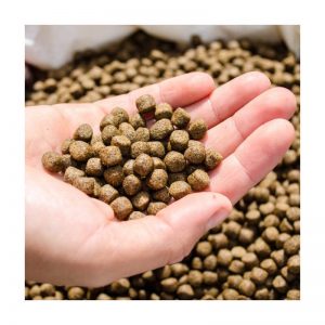 立式饲料包装机