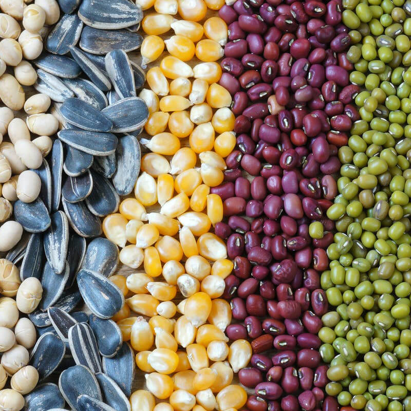 自动种子包装机